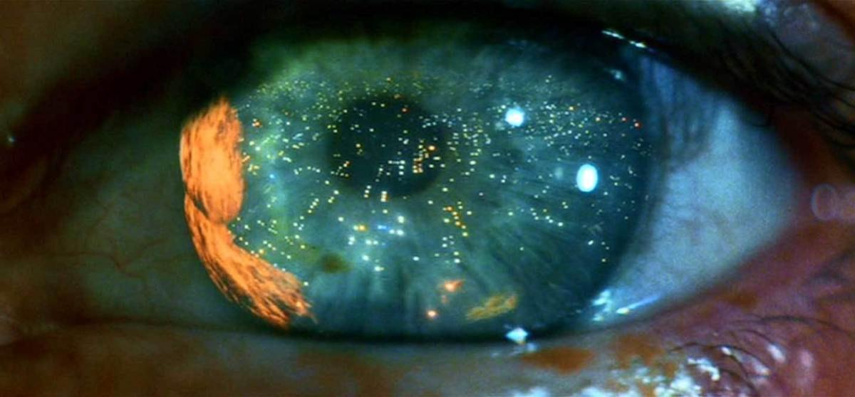 Intelligenza artificiale e Homo Deus