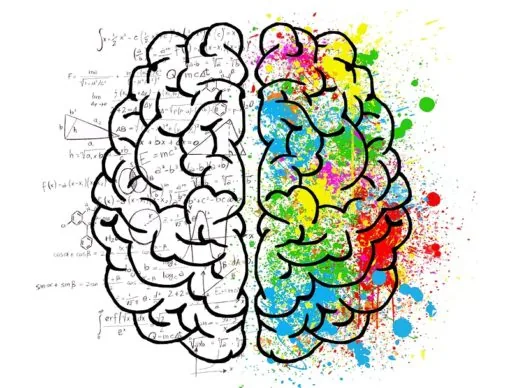 Cos'è l'intelligenza emotiva