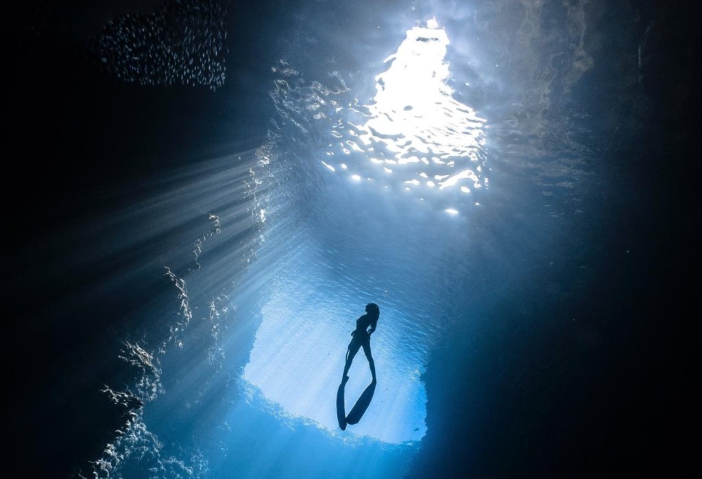 Scoprire il proprio genio: la teoria della ghianda di James Hillman